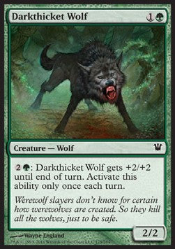 Darkthicket Wolf - Innistrad (Common) [ISD-175]