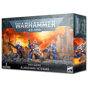 Space Marines: Bladeguard Veterans box
